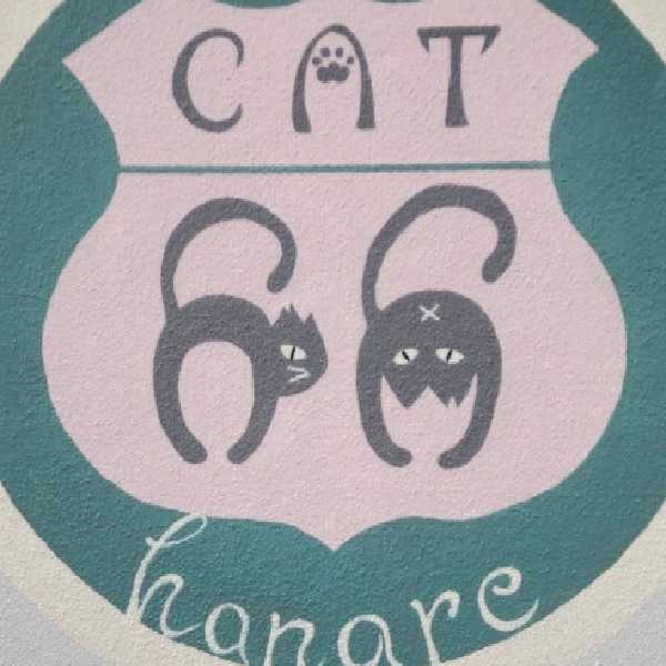 CAT66 hanare