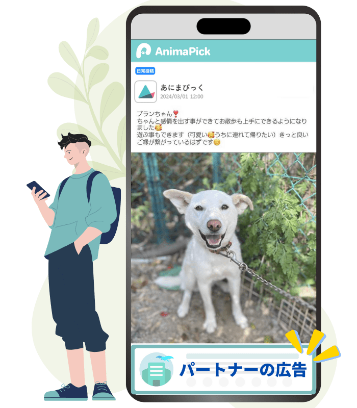 広告掲載イメージ