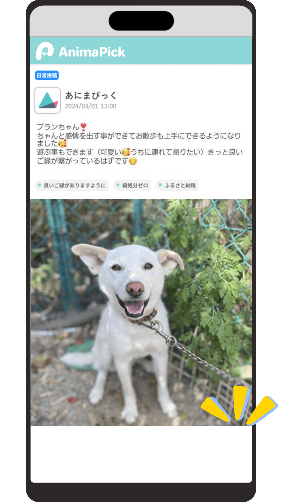 AnimaPickの投稿イメージ