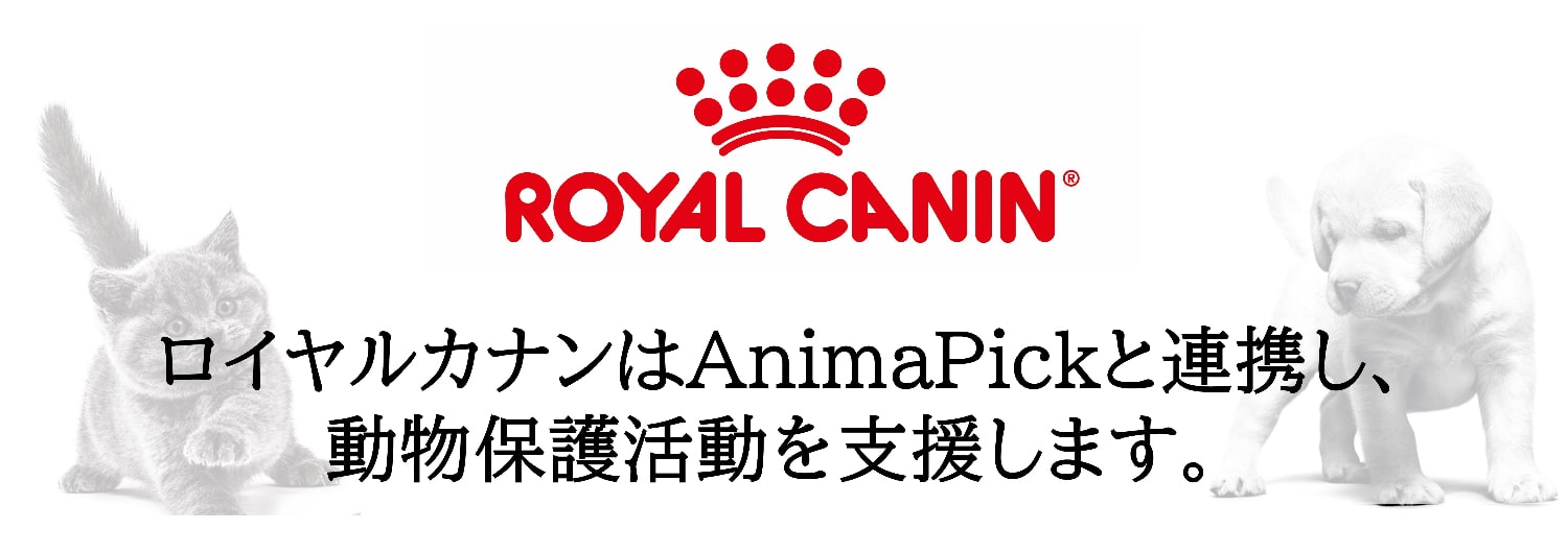 ロイヤルカナンとAnimaPickは連携して、動物保護活動を支援します